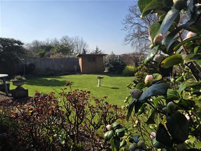 Picture 25